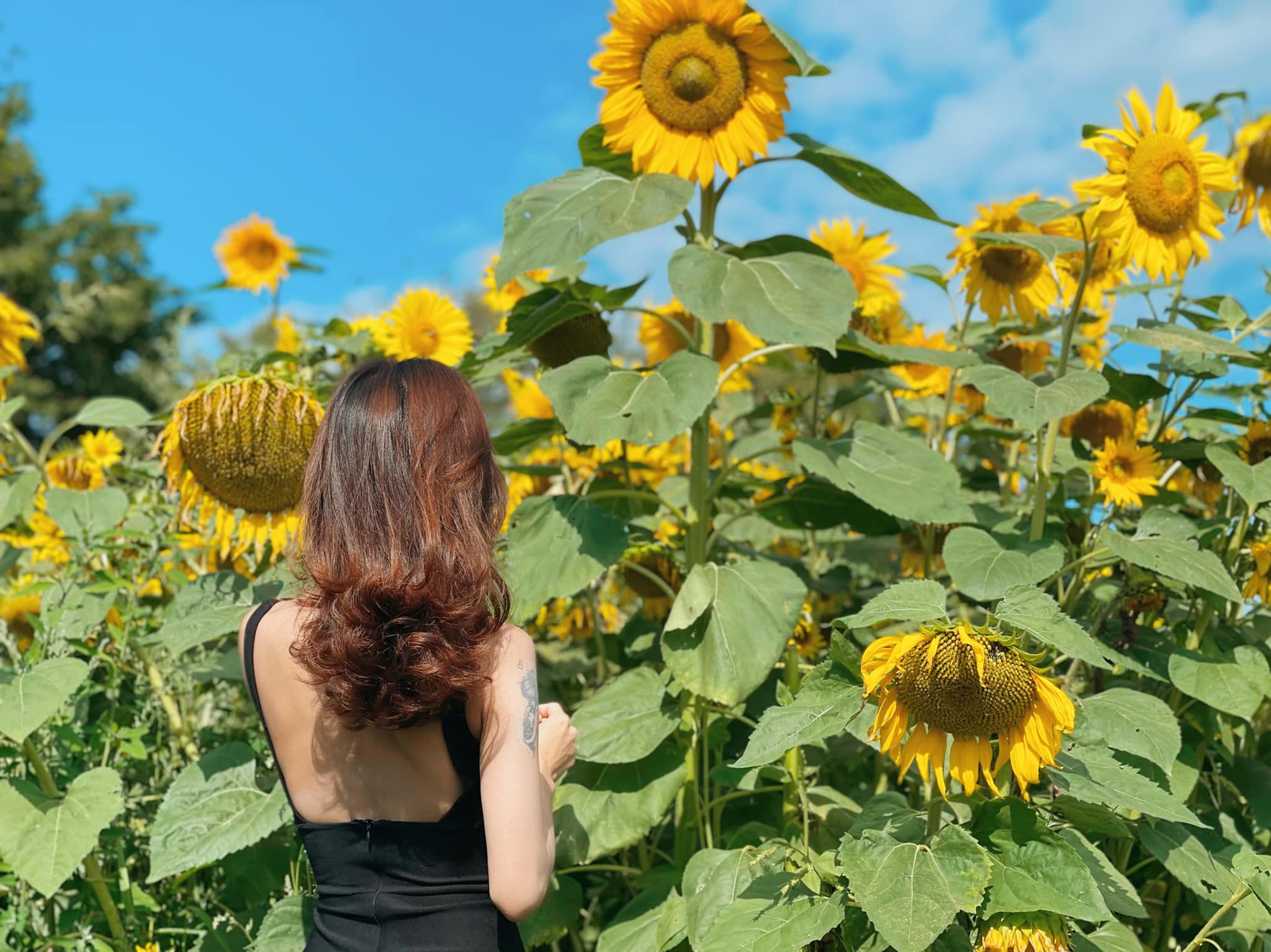 Muốn lấy ảnh ngay thì sử dụng dịch vụ chỉnh sửa ảnh online nào tại TP.HCM? Muốn lấy ảnh ngay thì sử dụng dịch vụ chỉnh sửa ảnh online nào tại TP.HCM?