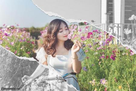 Ghép ảnh bằng app Gemini Google AI là gì? Cách dùng và mẹo hay 2025 Ghép ảnh bằng app Gemini Google AI là gì? Cách dùng và mẹo hay 2025