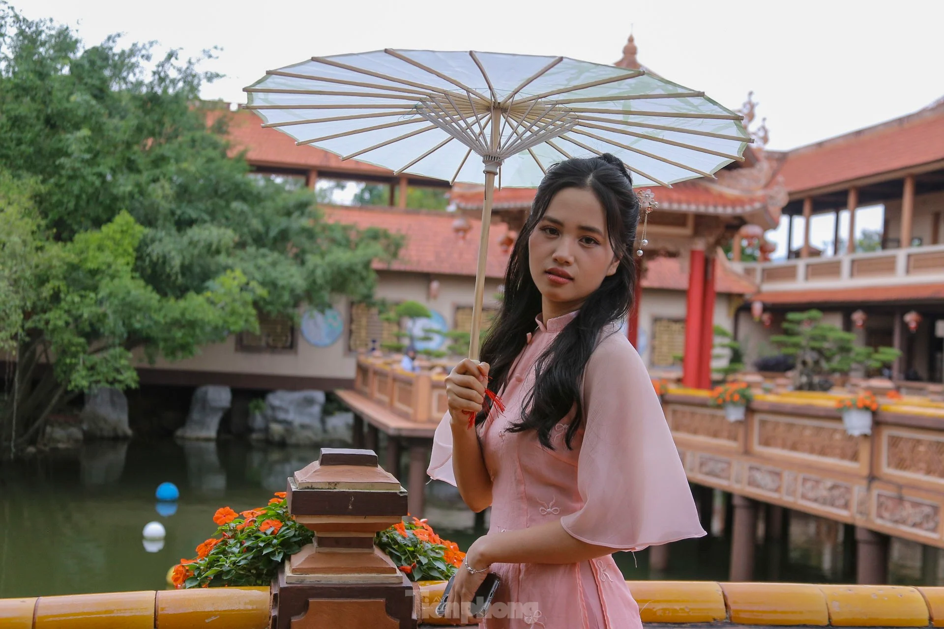 Trải nghiệm chụp ảnh Tết 2026 miễn phí tại Đà Nẵng