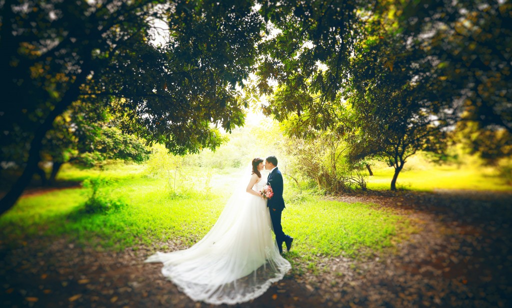 Dịch vụ du lịch kết hợp chụp ảnh cưới 2026 trọn gói – giá tốt