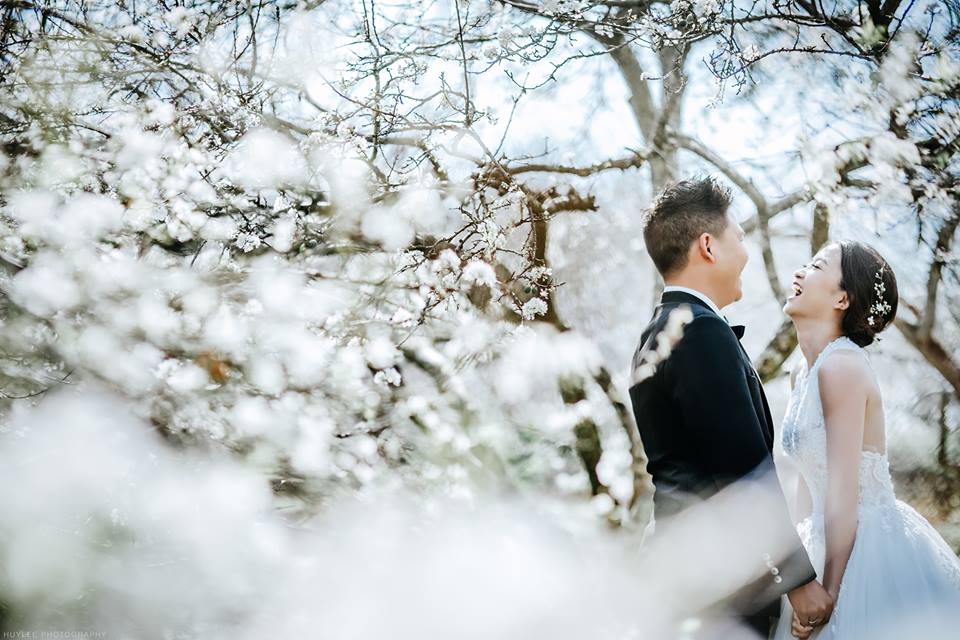 Dịch vụ du lịch kết hợp chụp ảnh cưới 2026 trọn gói – giá tốt